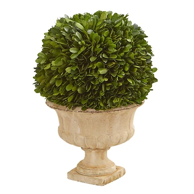 12in. Boxwood Topiary Ball in Decorative Urn