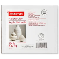 10lb. Natural Clay by Craft Smart
