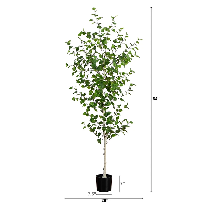 7ft. Birch Tree in Black Planter
