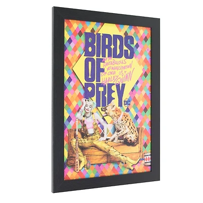 DC Comics™ Birds of Prey Harley Quinn Framed Wall Art