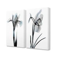 Stupell Industries Contrast Black And Blue Flower Bloom DesignsCanvas Wall Art