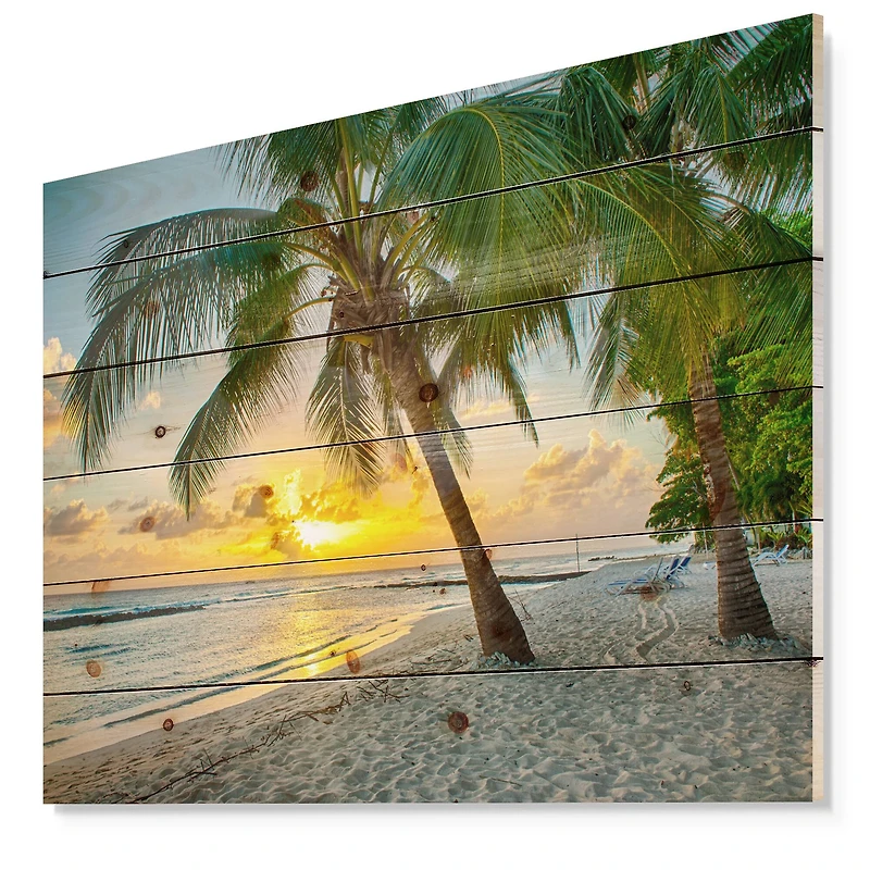 Designart - Beach in Caribbean Island of Barbados
