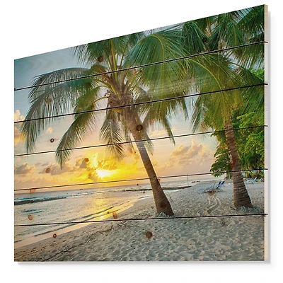 Designart - Beach in Caribbean Island of Barbados