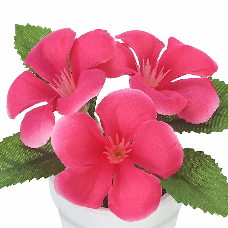 4" Geranium in White Pot by Ashland