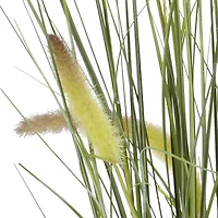 2.5ft. Potted Grass Plant