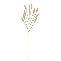 31" Toast Bunny Tail Grass Stem by Ashland®