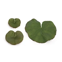 Assorted Bag of Leaf Filler