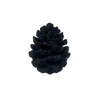7.25" Black Flocked Pinecone Tabletop Décor by Ashland®