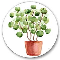 Designart - Chinese Money Plant In Pot