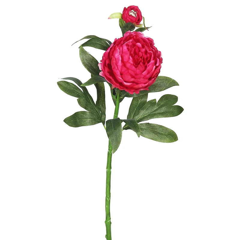 Hot Pink Peony Stem, 3ct.