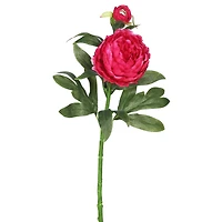 Hot Pink Peony Stem, 3ct.