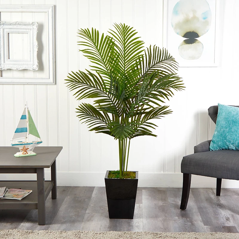 5ft. Paradise Palm Tree in Black Metal Planter