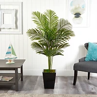 5ft. Paradise Palm Tree in Black Metal Planter