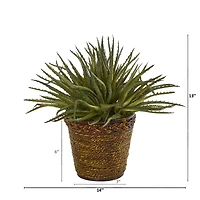 13" Aloe Artificial Plant in Basket