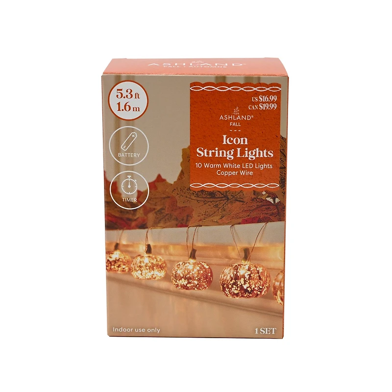 10ct. Warm White LED Pumpkin Icon String Lights by Ashland®