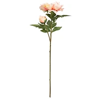 28.5" Peach Peony Real Touch Stem by Ashland®