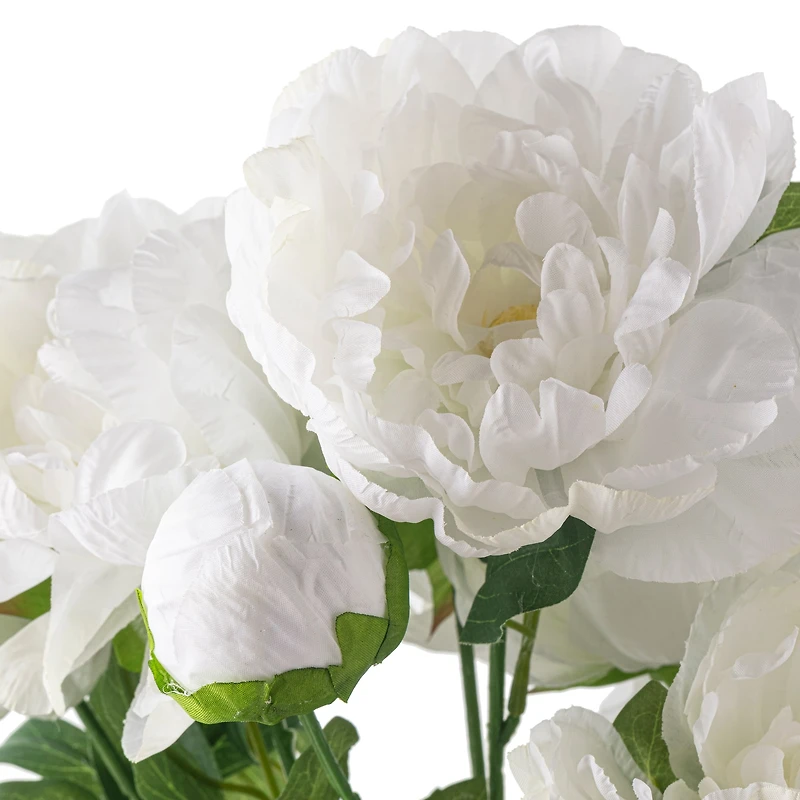 White Peony Bush by Ashland®
