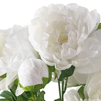 White Peony Bush by Ashland®