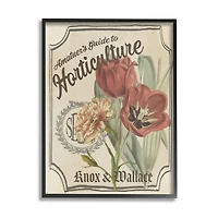 Stupell Industries Antique Seed Packet Red Tulip Horticulture Study Framed Wall Art