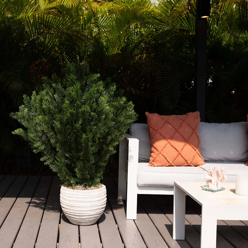 4ft. UV-Resistant Potted Cedar Bush