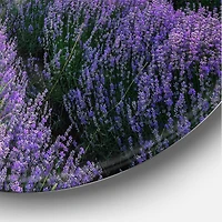 Designart - Sunrise & Dramatic Clouds Over Lavender Field VII