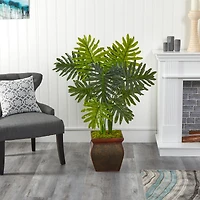 3.5ft. Philodendron Plant in Decorative Planter