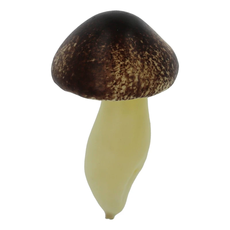 Decorative Mushroom Mix, 5ct. by Ashland®