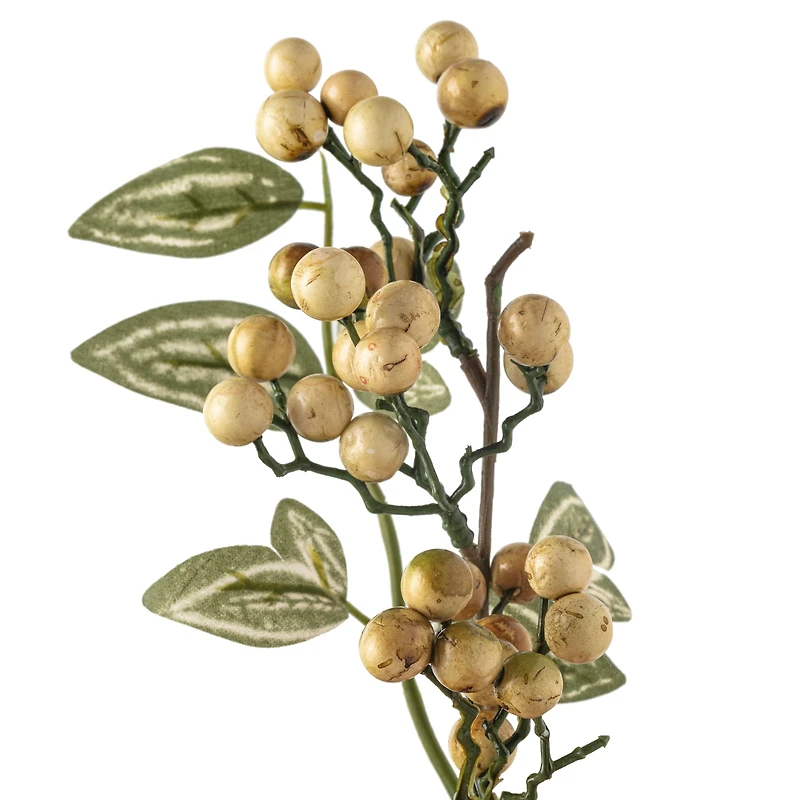 Green Berry Stem with Leaves by Ashland®