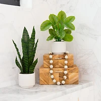 12" Artificial Calathea Plant with Decorative Planter