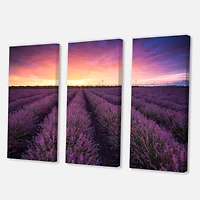 Designart - Sunrise & Dramatic Clouds Over Lavender Field XIII