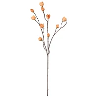 34" Peach Hops Stem by Ashland®