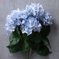 Light Blue Hydrangea Bush by Ashland®