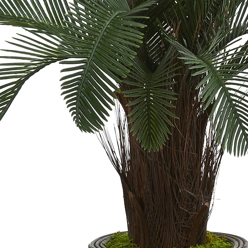 3.5ft. Cycas in Bamboo Planter
