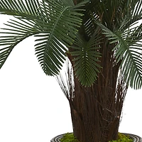 3.5ft. Cycas in Bamboo Planter