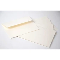 PA Paper™ Accents Cardmaker's Choice A2 Cream Heavyweight Envelopes, 50ct.