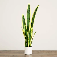 30in. Artificial Sansevieria Plant