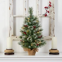 2ft. Pre-Lit Flocked Pine & Berry Artificial Christmas Tree in Burlap Base, Warm White LED Lights