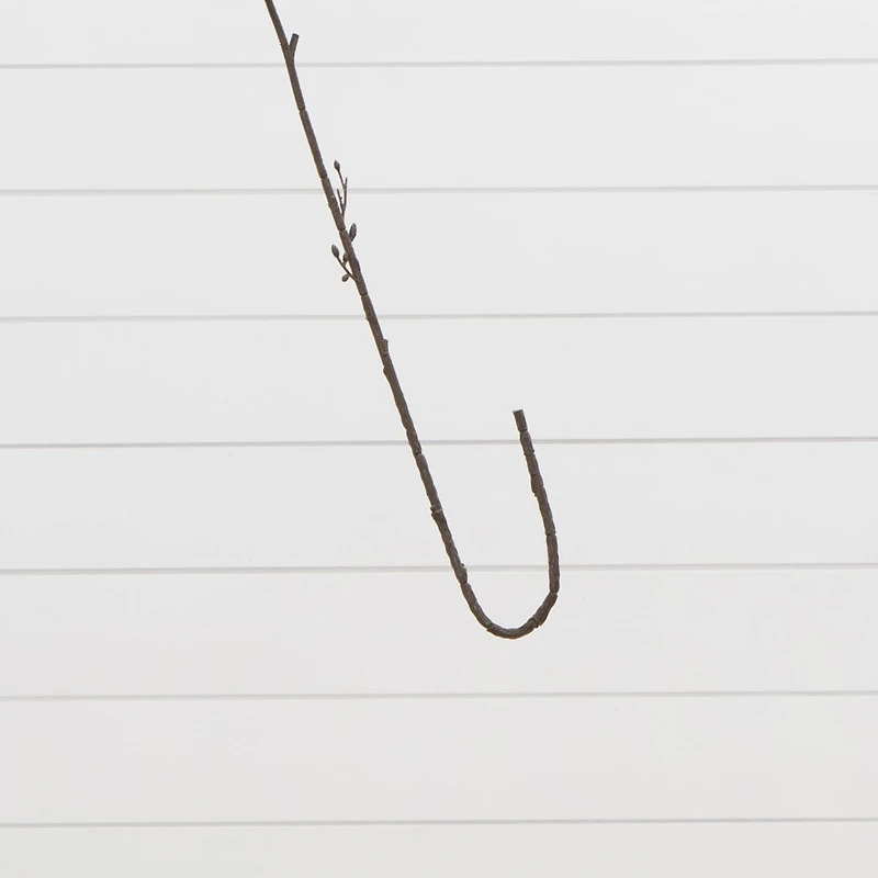 24in. Artificial Pincushion Protea Flower Stem - Set of 4