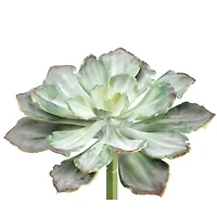 Soft Touch Dark Green & Gray Echeveria Pick