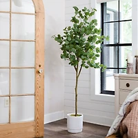 6ft. Artificial Eucalyptus Tree with White Decorative Planter