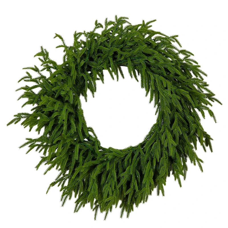 24in. Pre-Lit Artificial Real Touch Norfolk Island Pine Wreath with 50 Warm White LED Lights and Natural Look