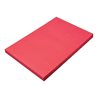 SunWorks® 12" x 18" Holiday Red Construction Paper, 3 Packs of 100 Sheets