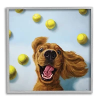 Stupell Industries Happy Smiling Pet Dog with Yellow Tennis Balls in Frame Wall Art