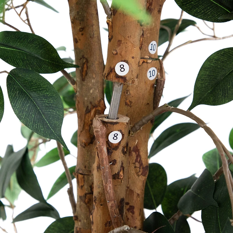 9ft. Potted Ficus Tree