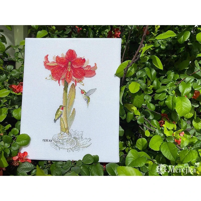 Merejka Amaryllis Counted Cross Stitch Kit