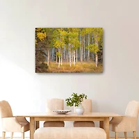 Lumaprints June Lake Aspen Giclée Canvas