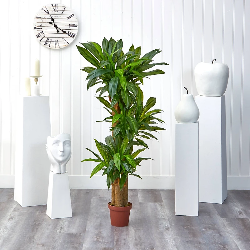 5ft. Corn Stalk Dracaena Silk Plant