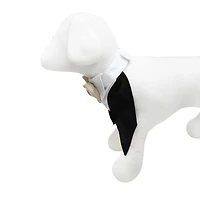 Best Furry Friends Rustic Tuxedo Dog Collar