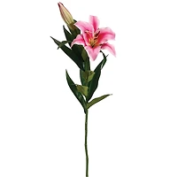 Rubrum Pink Stargazer Lily Spray