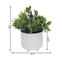 Flora Bunda® Tea Leaf In White Cascade Footed Pot